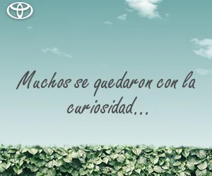 Cartas Exquisitas display banner — Muchos se quedaron con la curiosidad